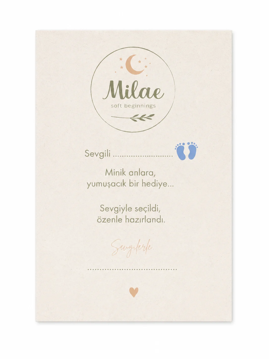 Şablon 5